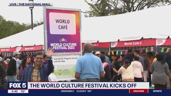 World Culture Festival kicks off in DC