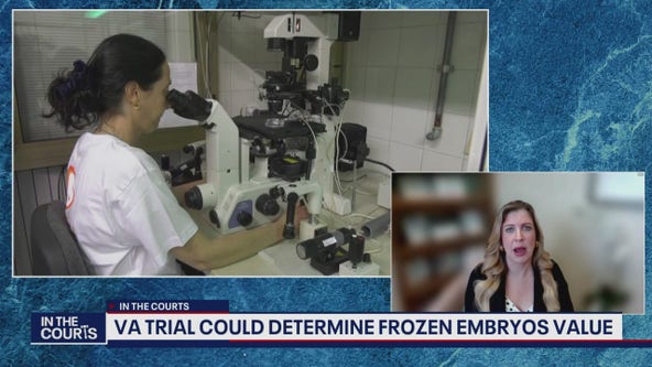 What is the value of frozen embryos?