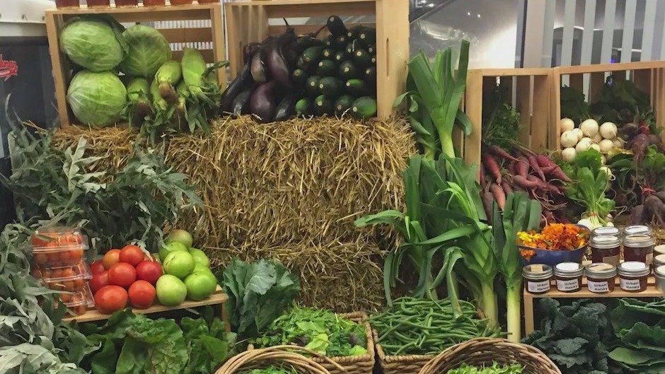 Urban Growers Collective sprouts new interest in city farming
