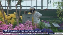 Garfield Park Conservatory has a jump start on spring