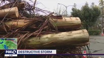Destructive storm batters California