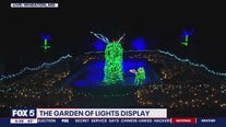 Garden of Lights display in Wheaton