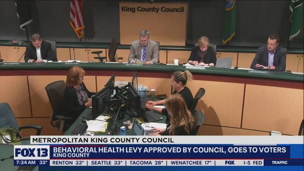 Behavioral health levy approved by council, goes to voters