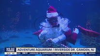 Scuba Santa exhibit opens at Adventure Aquarium