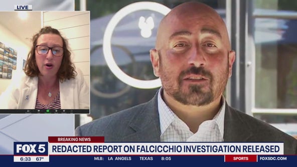 Redacted report on Falcicchio investigations released