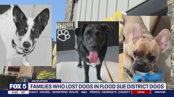 Families who lost pets in tragic flood sue District Dogs