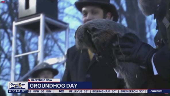 Punxsutawney Phil: Groundhog sees shadow, predicts 6 more weeks of winter