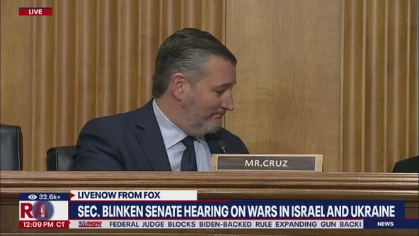 Ted Cruz grills Blinken on Israel war