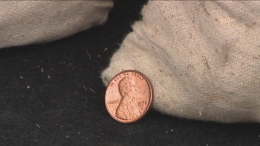 Family finds piles of pennies