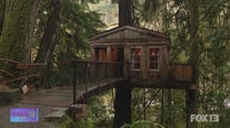 Passport to the Northwest: Checking out luxury treehouses in Issaquah, Washington
