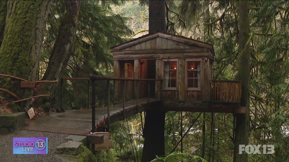 Checking out luxury treehouses in Issaquah, Washington