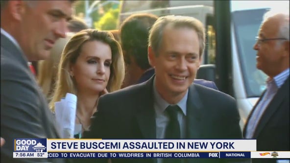 Steve Buscemi assaulted in New York
