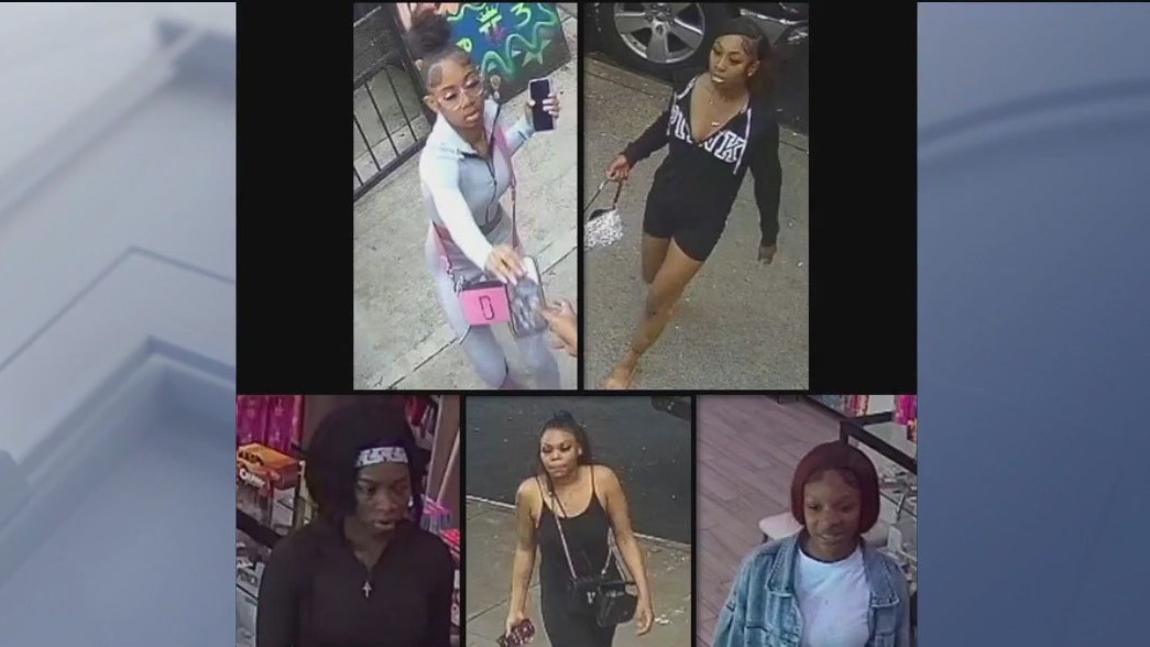 5 women wanted in series of NYC robberies