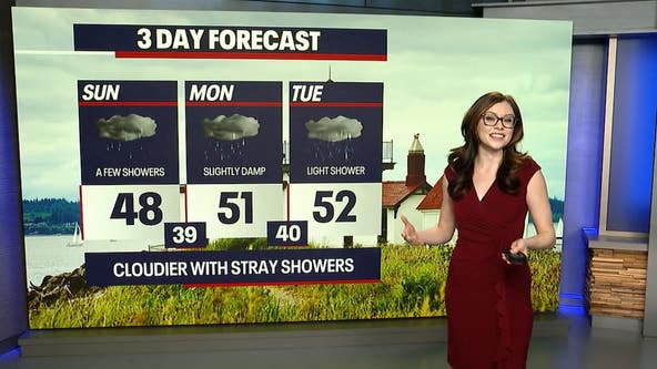 Seattle weather: Some showers in the forecast