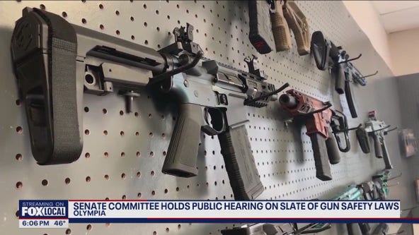 Senate committee holds public hearing on state of gun safety laws