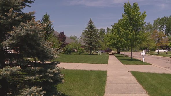 Police: Family dogs attack 1-year-old and grandparent in Wixom