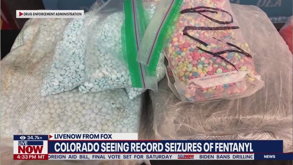 Record seizures of fentanyl in Colorado