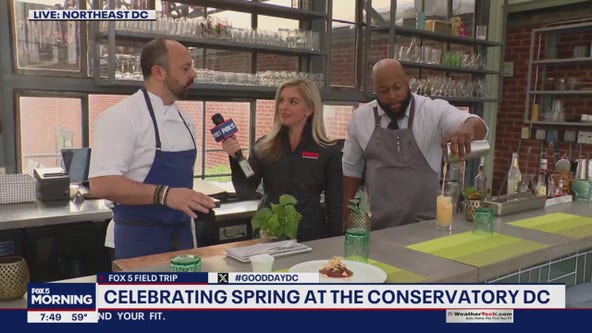 The Conservatory DC is a great place to celebrate spring