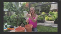 How to properly water a plant daily, on vacation, etc. | FOX Weather Philly