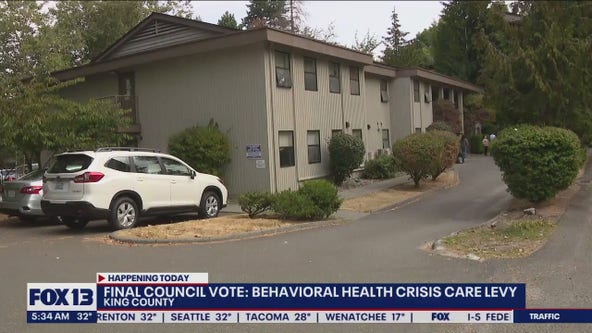 Final council vote: Behavioral health crisis care levy