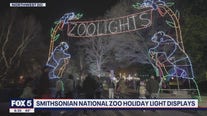ZooLights returns to the National Zoo for the holiday season