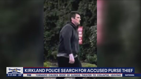 Kirkland Police search for accused purse thief