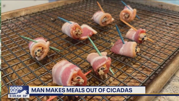 Man makes meals out of cicadas