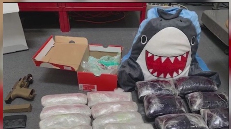 Man sentenced over shark pillow drug deal