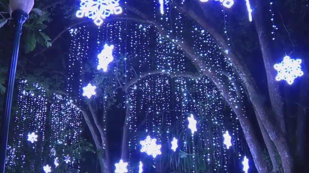'Dazzling Nights' walk-through Christmas experience begins at  Leu Gardens