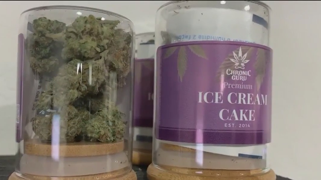 Florida pot growers react to recreational marijuana possibility in Florida