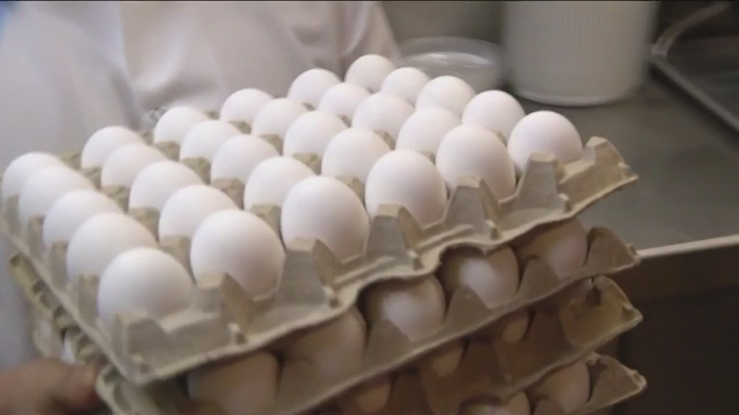 Chicago restaurant owner avoids price hike amid nationwide egg shortage