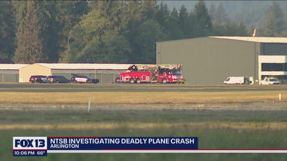 Pilot dies in plane crash