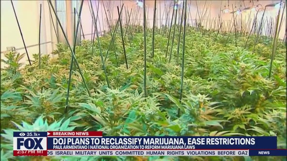 DOJ pans to reclassify marijuana, ease restrictions