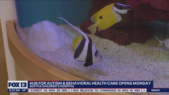 Hub for autism, behavioral health care opens today