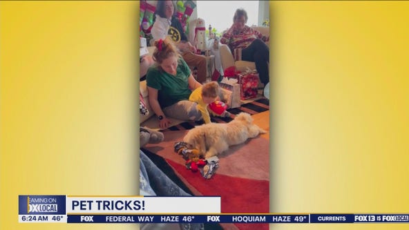 Pet Tricks for Friday, May 17
