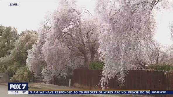 Cedar Park seeing significant ice accumulation, falling limbs