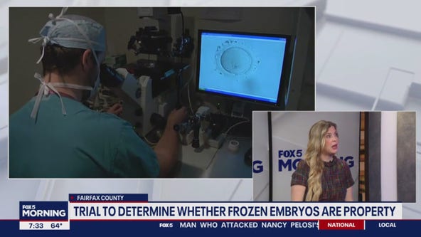 Virginia to rule on frozen embryos