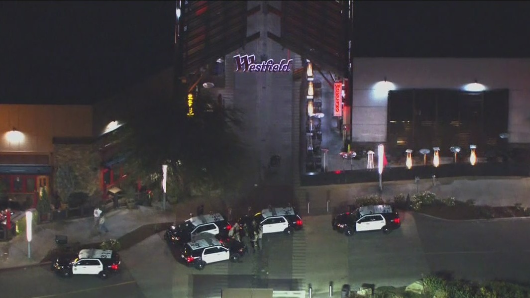 Santa Clarita mall briefly evacuated due to "accidental" gunshot: Deputies