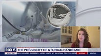 The possibility of a fungal pandemic
