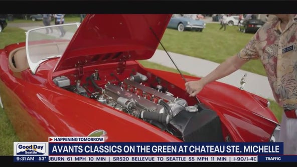 'Classics on the Green' Vintage Car Show
