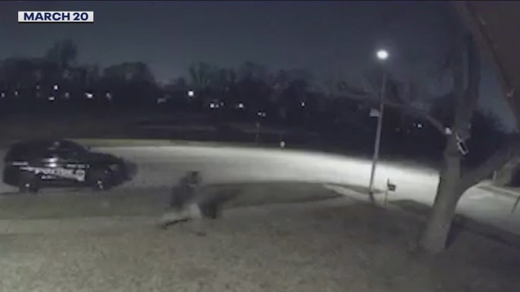 Brazen video shows gunman open fire near squad car