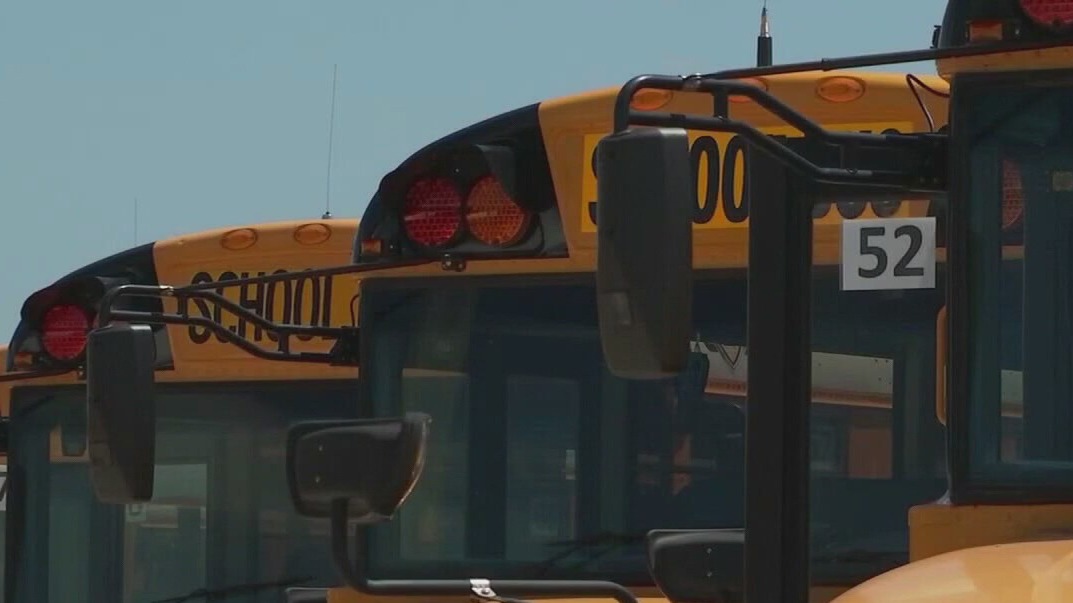 Which school buses in Central Texas are equipped with seatbelts?