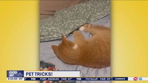 Pet Tricks for Friday, May 10