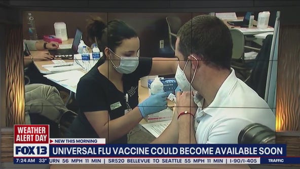 Universal Flu vaccine could become available soon
