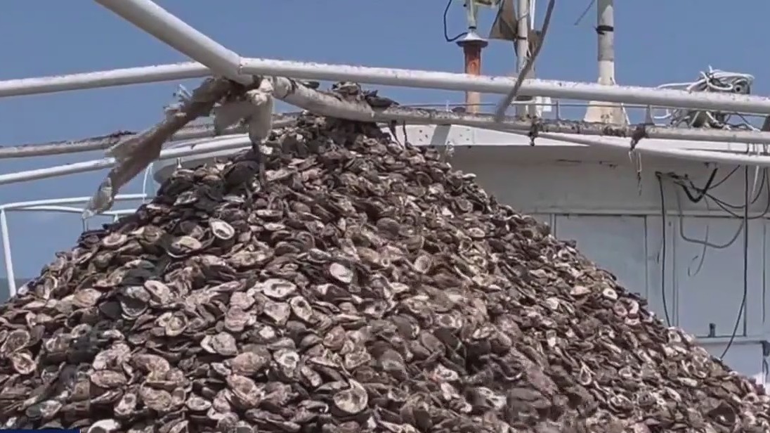 Restored Texas oyster reef aims to revitalize Galveston Bay after difficult season