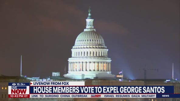 House votes to expel George Santos: panel