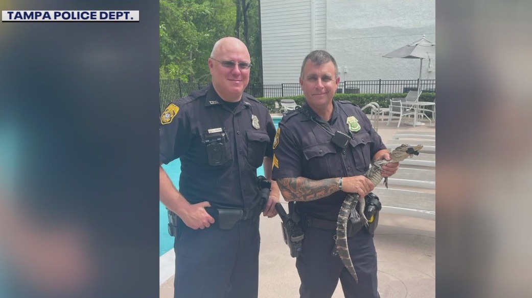 Good Day, good deed by TPD officers who saved injured gator