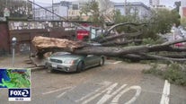 Several injured by falling trees in San Francisco, record wind recorded