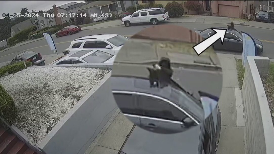 Video: Child daycare worker threatened at gunpoint as car is stolen