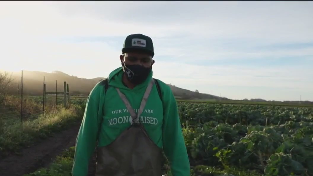 Documentary filmmakers highlight California farm workers